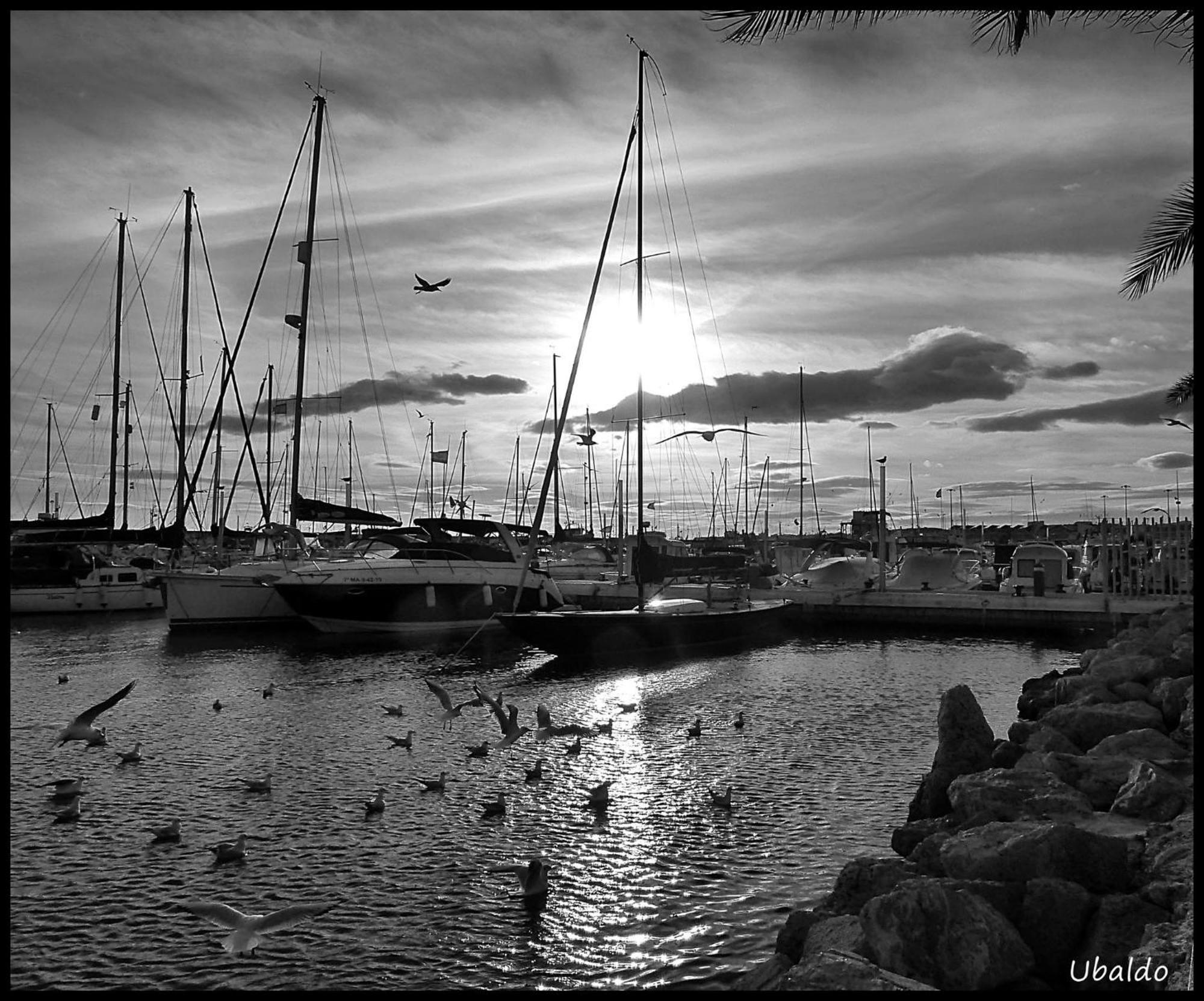 Brisas Del Mar Villa Caleta De Velez Luaran gambar